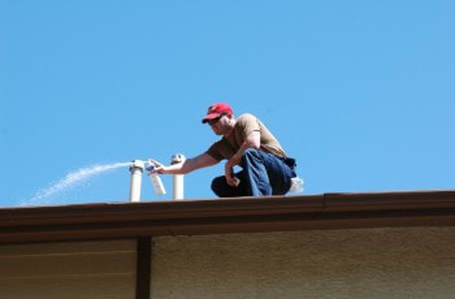 this is a picture of pest control in diablo, ca