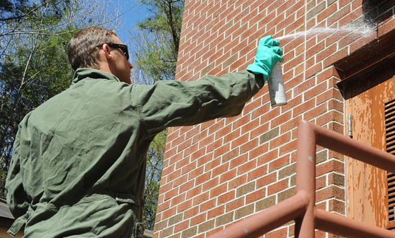 Image of a professional exterminator spraying- Pleasanton exterminator