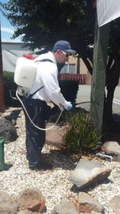 This is a picture of an exterminator carrying out fumigation - Pleasanton, CA