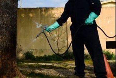 this is an image of commercial exterminator in pleasanton