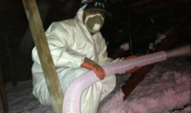 this is a picture of an exterminator near me in pleasanton, ca
