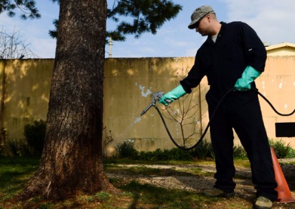This is a picture of a professional pleasanton insect exterminator spraying